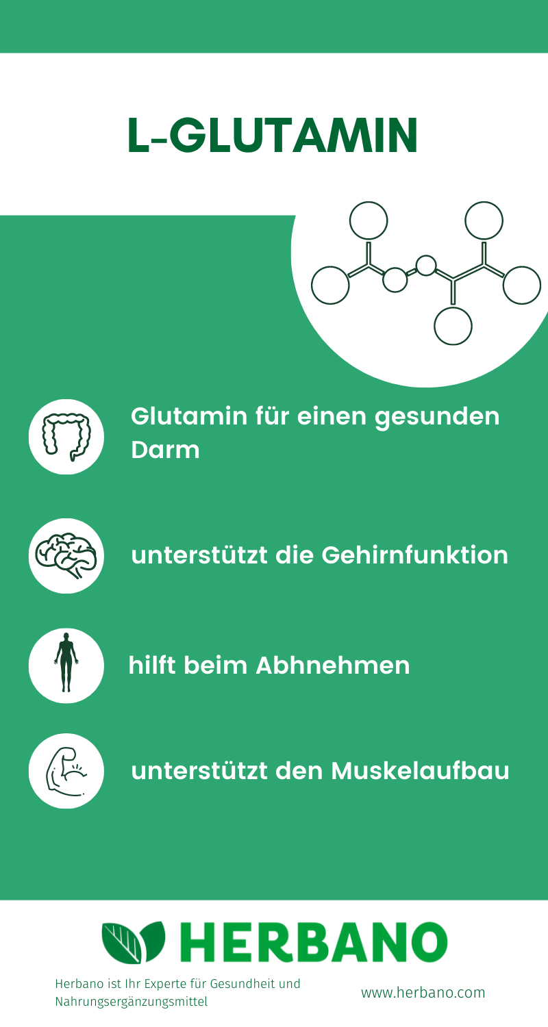 Glutamin Wirkung