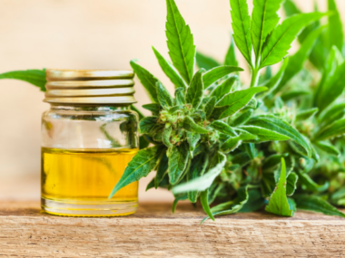 CBD: Pflanzliche Lösung bei Ängsten? |Herbano