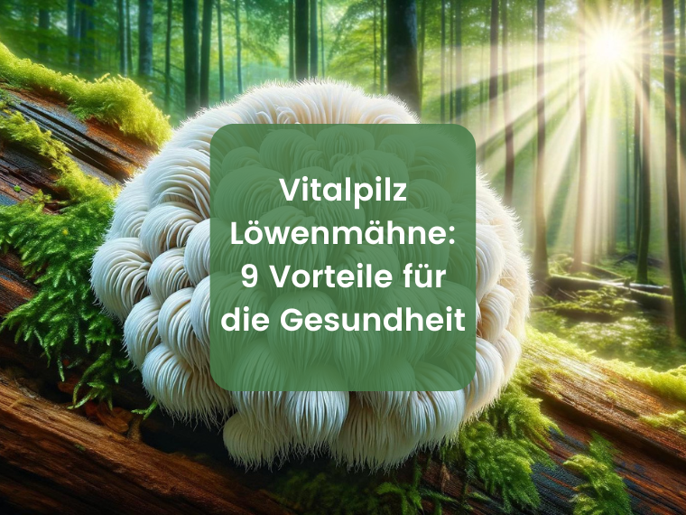 Löwenmähne: Kraftvoller Pilz im Fokus | Herbano