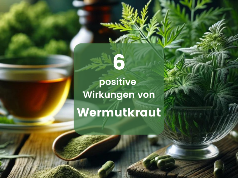 Wermutkraut: Das vielseitige Superkraut für die Gesundheit | Herbano