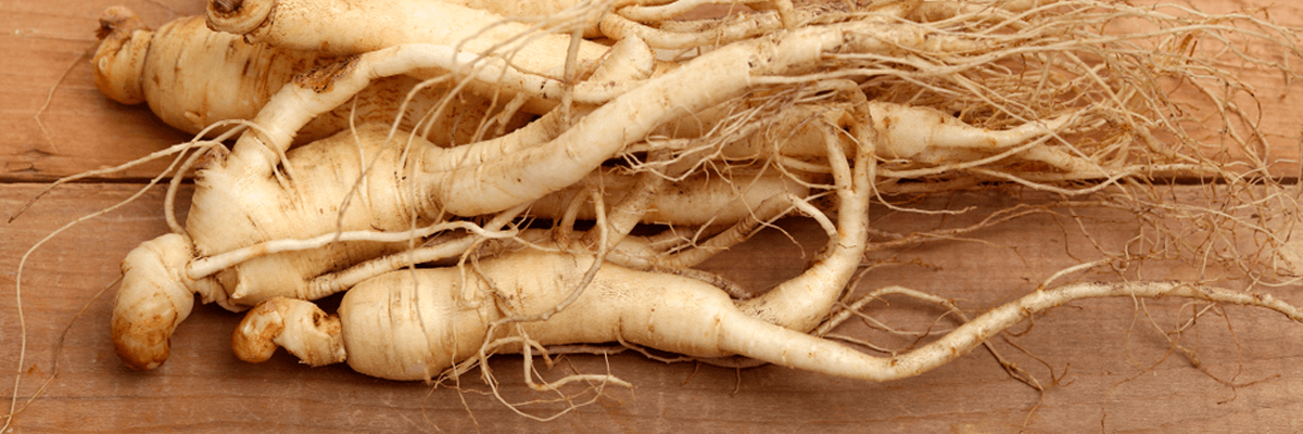 Qu'est-ce que le ginseng ? - Équilibrez votre corps et votre esprit