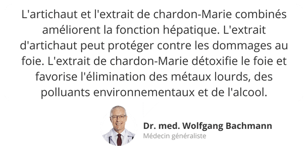 Conseil d'expert : Artichaut Chardon-Marie