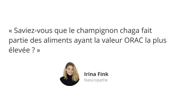 Avis d'expert : Chaga