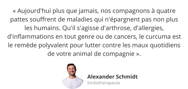 Avis d'expert : le curcuma pour les animaux