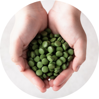 Chlorella Tabletten kaufen bei Herbano