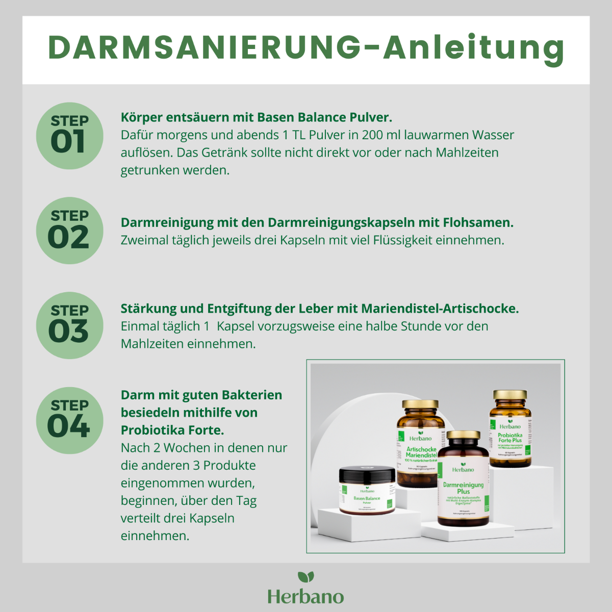 Darmsanierung Anleitung