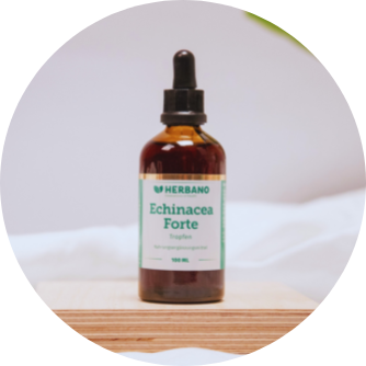 Echinacea forte