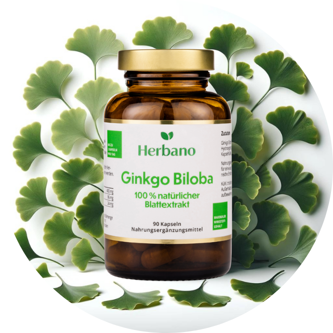 Ginkgo Biloba Extrakt Kapseln kaufen