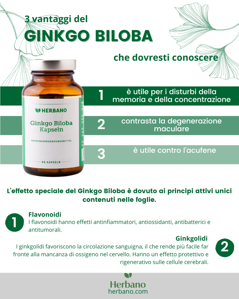 Infografica ginkgo biloba