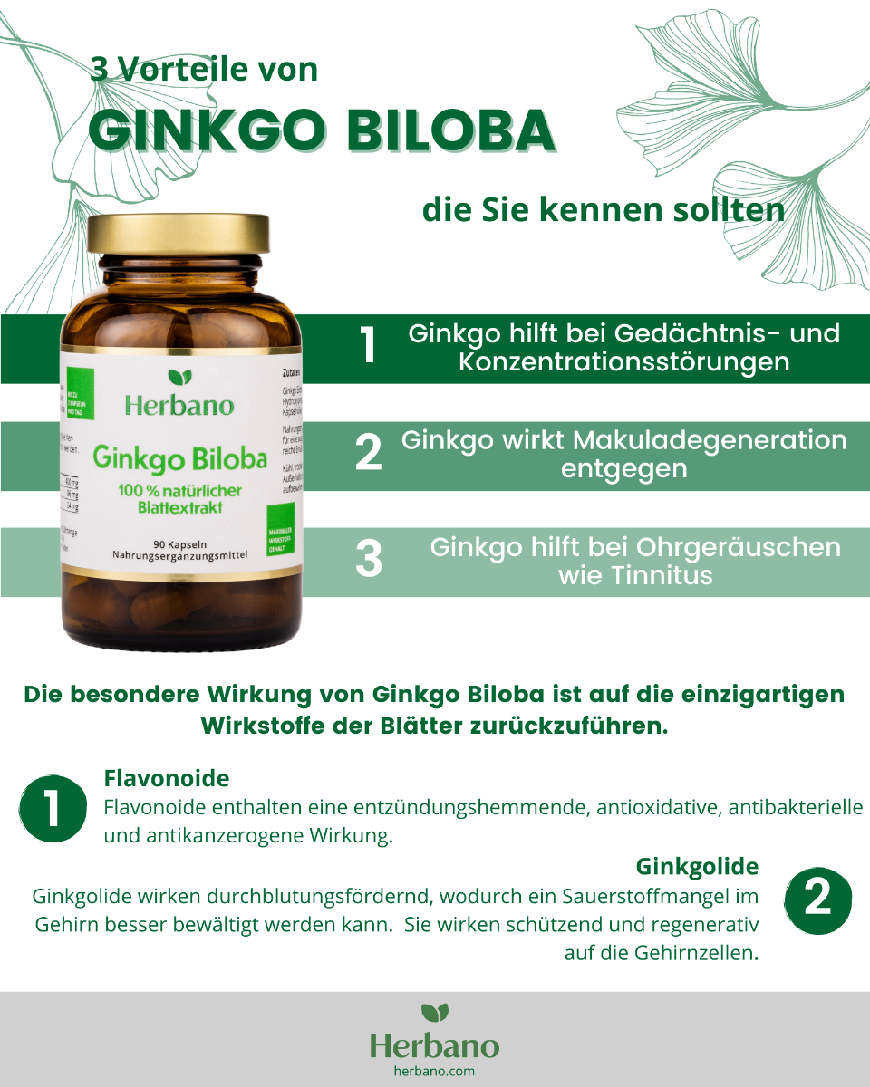 Ginkgo Biloba Wirkung