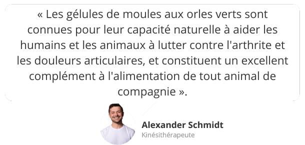 Avis d'expert : extrait de moule verte pour animaux