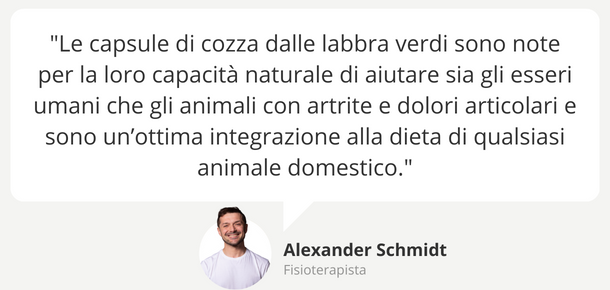 Benefici cozza dalle labbra verdi animali