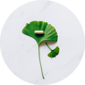 Ginkgo biloba Extrakt Anti-Aging