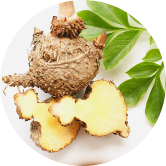 Glucomannan Kapseln kaufen