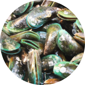 Acheter des gélules de moules aux orles verts