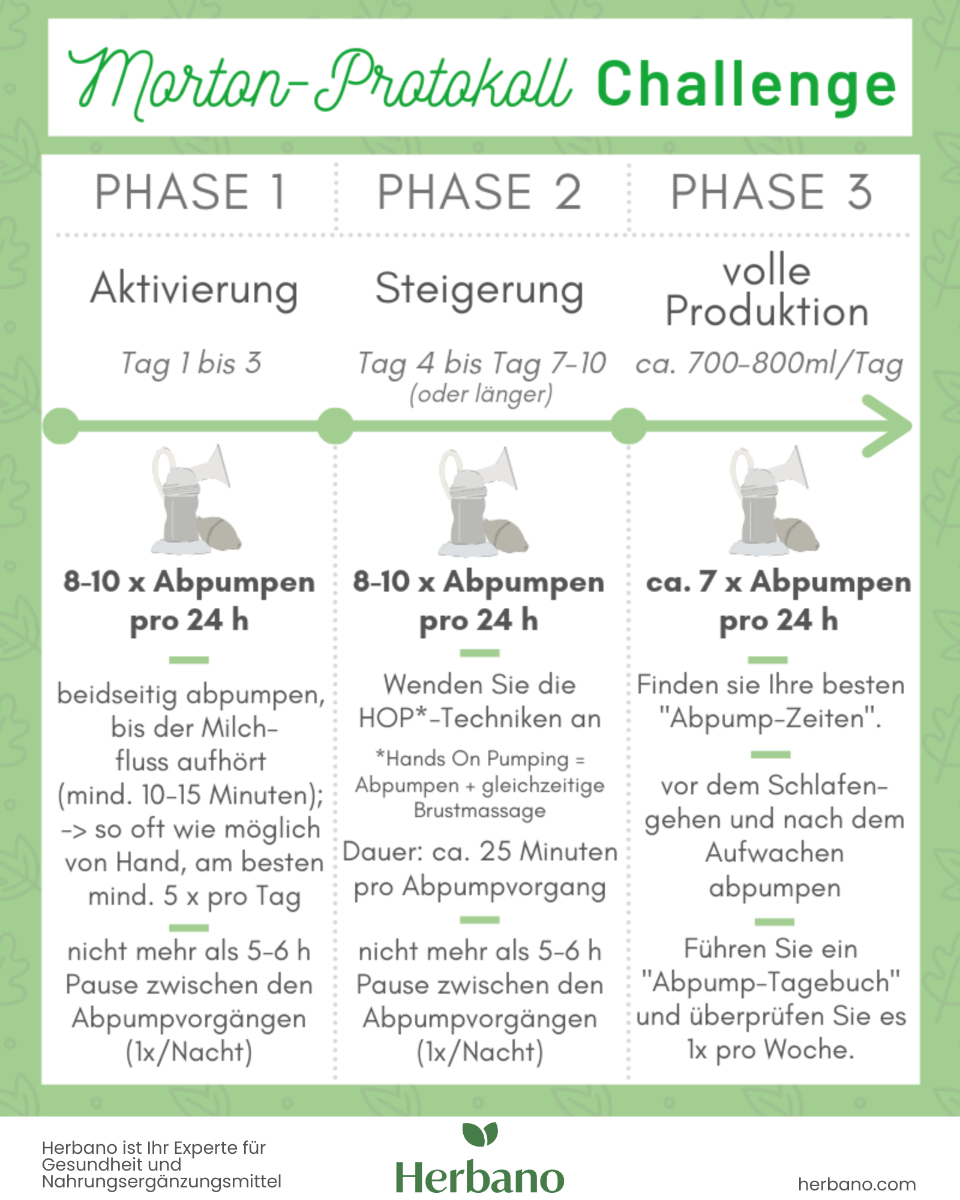 Morton Protokoll Challenge - Bockshornklee Kapseln zum stillen