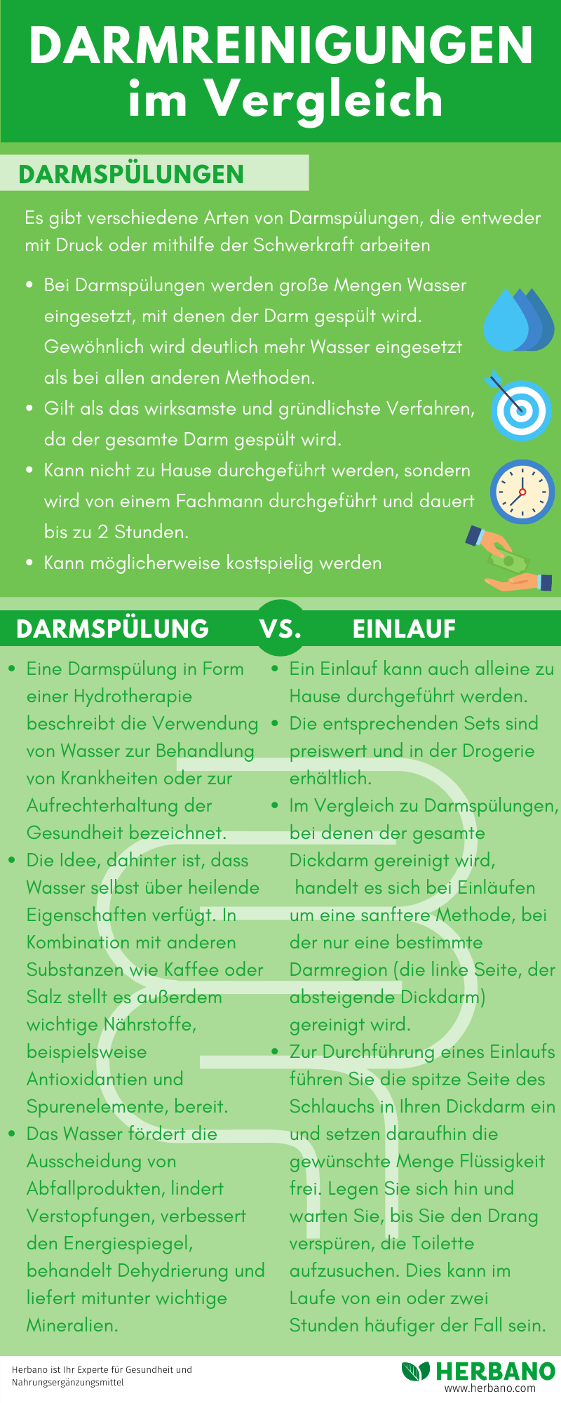 Infografik Darmreinigung