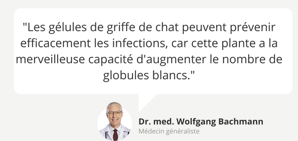 Avis d'expert : Griffe du chat