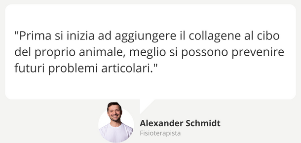 Collagene per gli animali