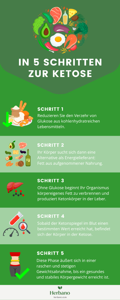 In 5 Schritten zur Ketose | Herbano