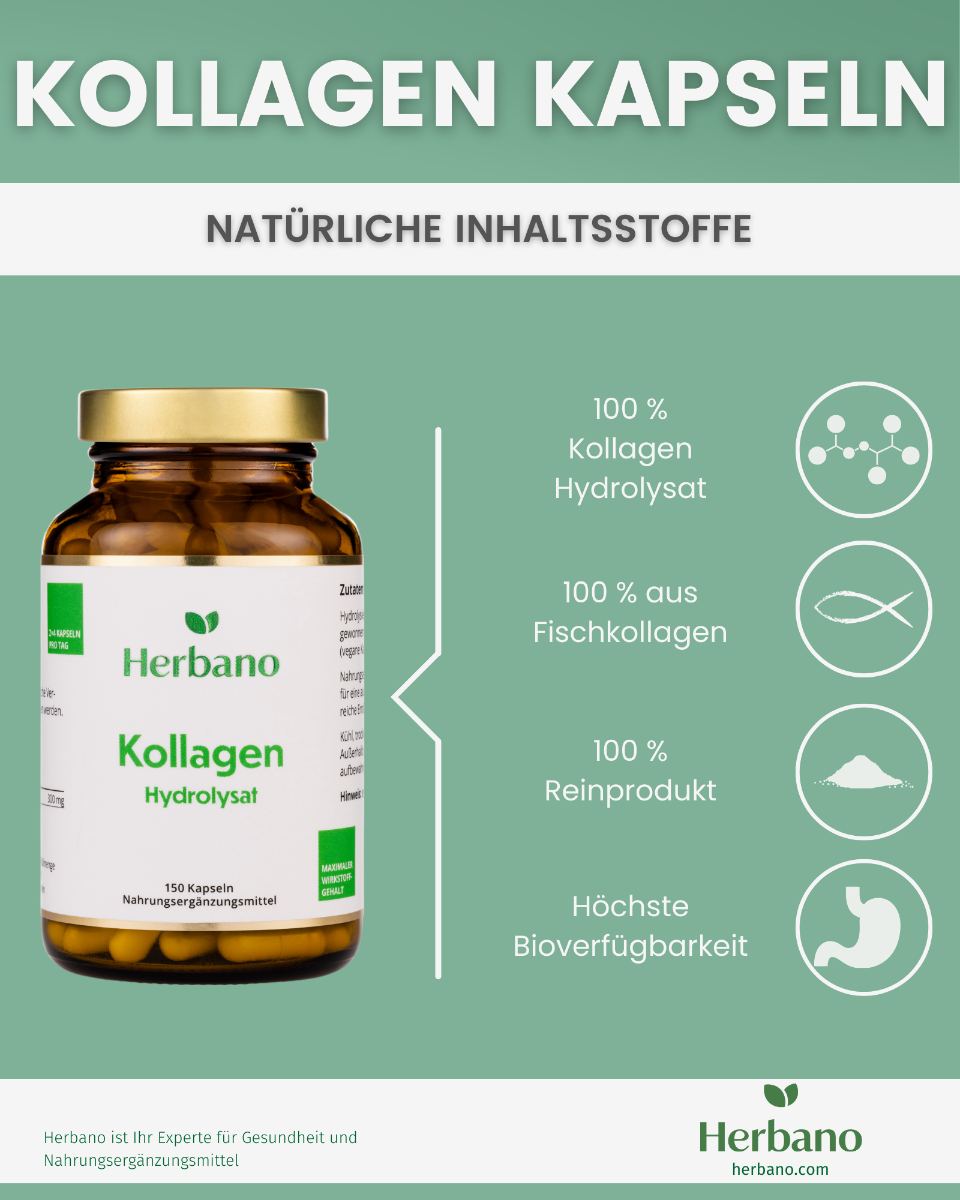 Collagen Kapseln Inhalstsstoffe