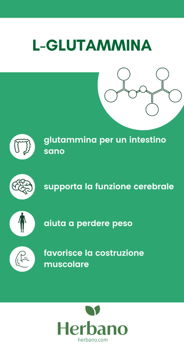 l glutammina benefici