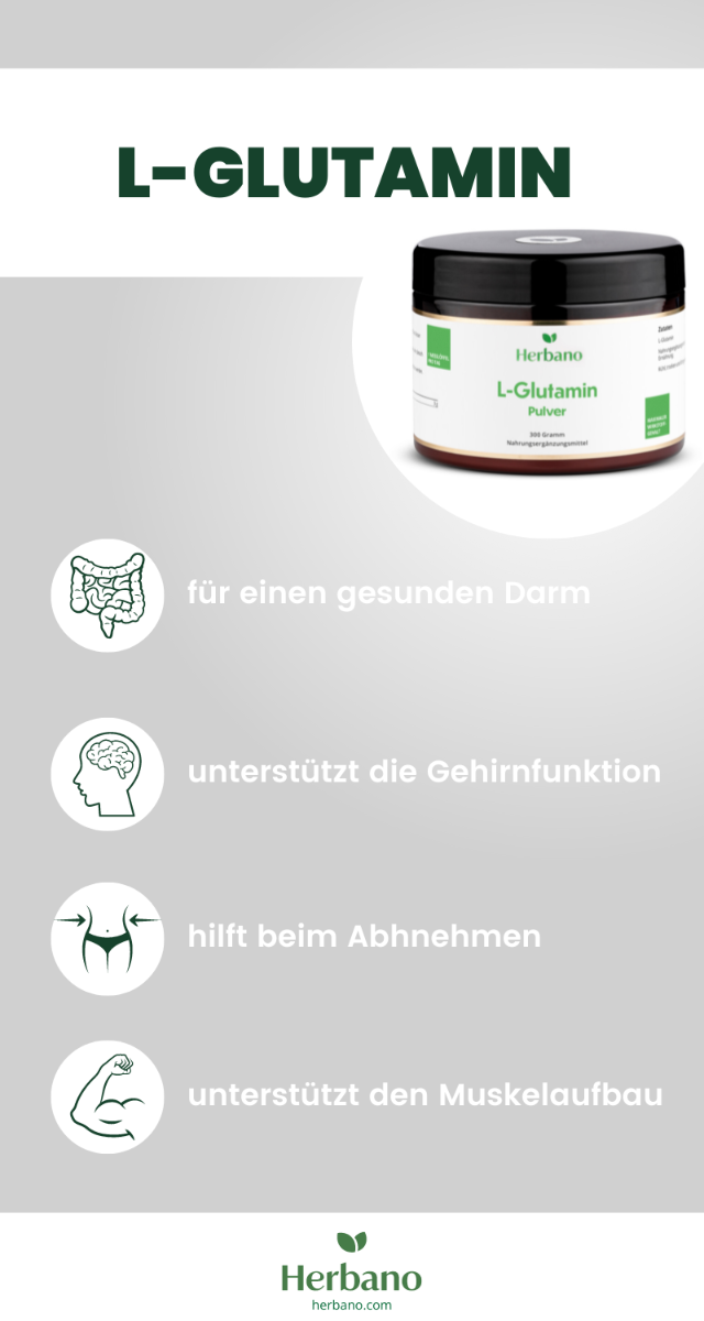 L-Glutamin Wirkung