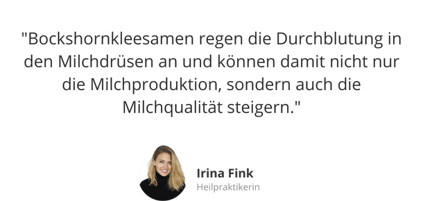 Experten-Tipp: Bockshornklee Kapseln zur Milchbildung