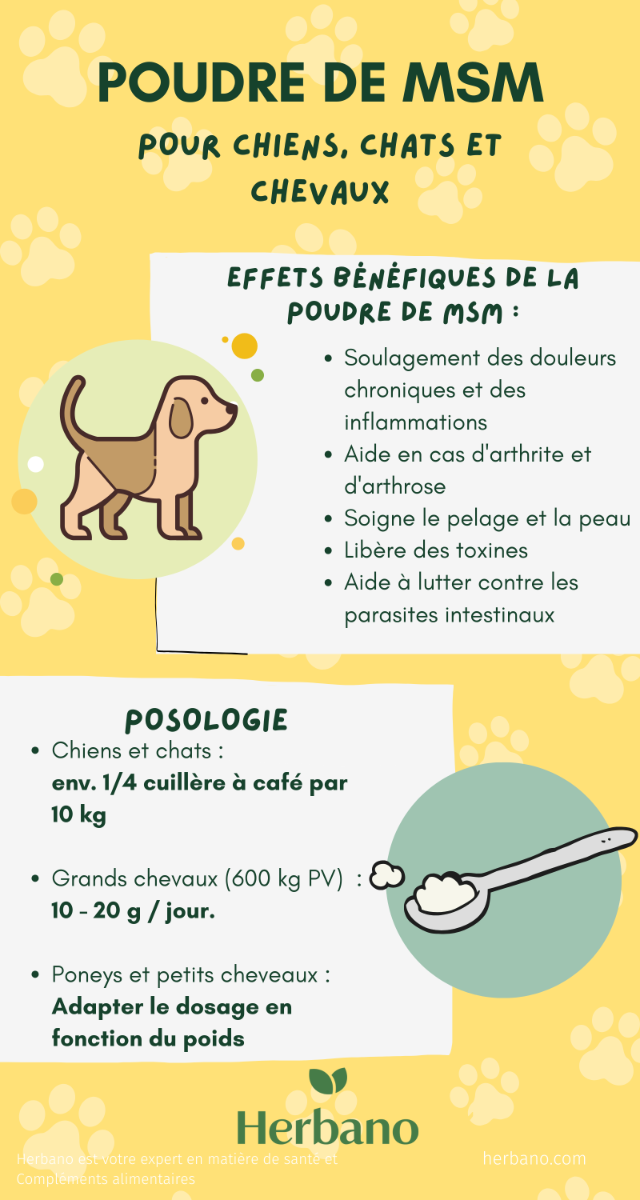 Poudre de MSM pour chien, chat & cheveaux Effet