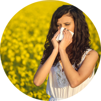 MSM contre les allergies