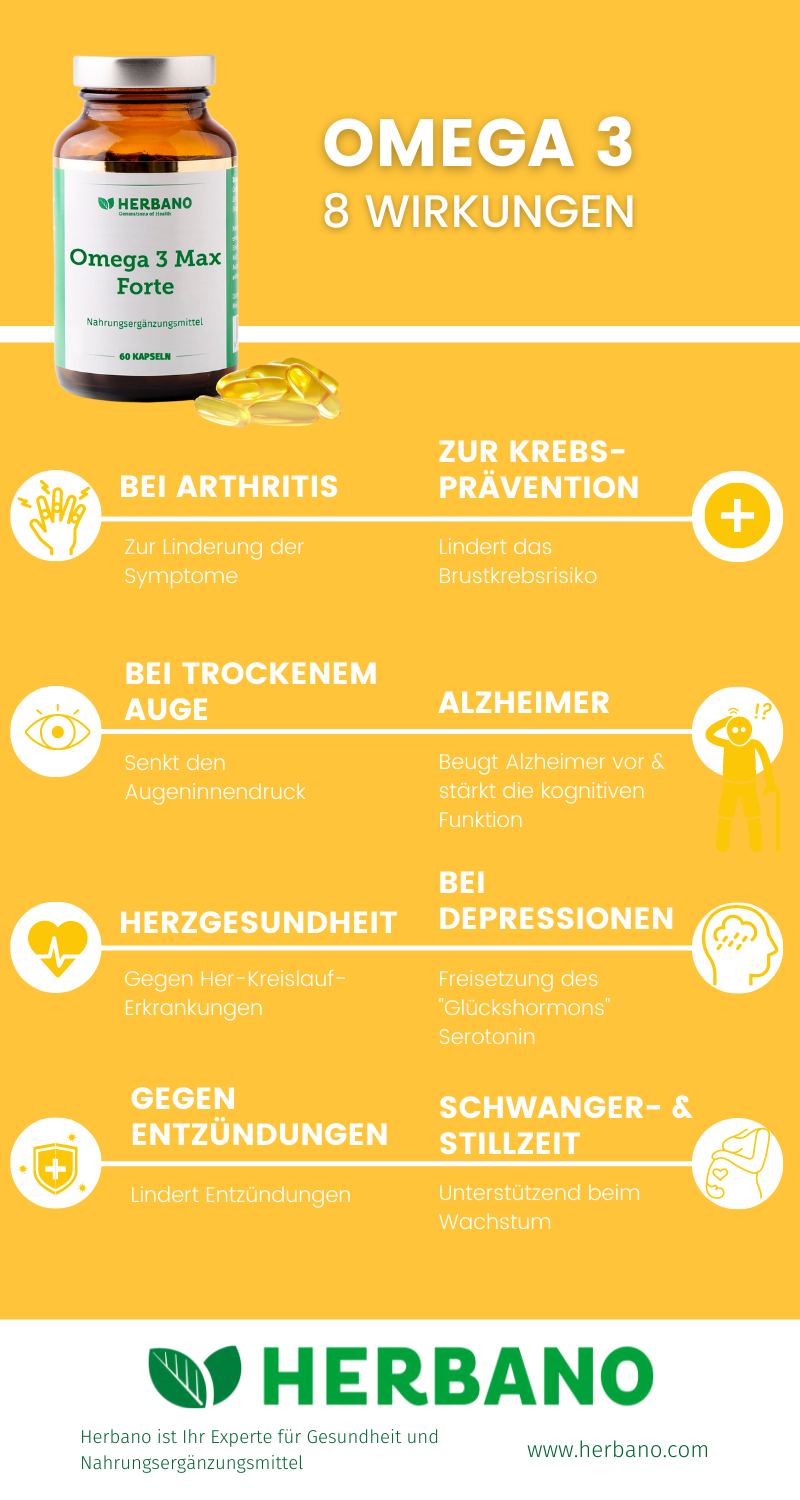 Omega 3 Kapseln hochdosiert Wirkung