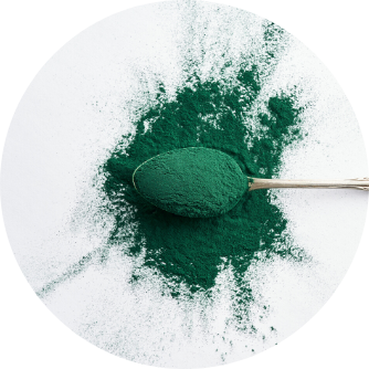 Spiruline bio