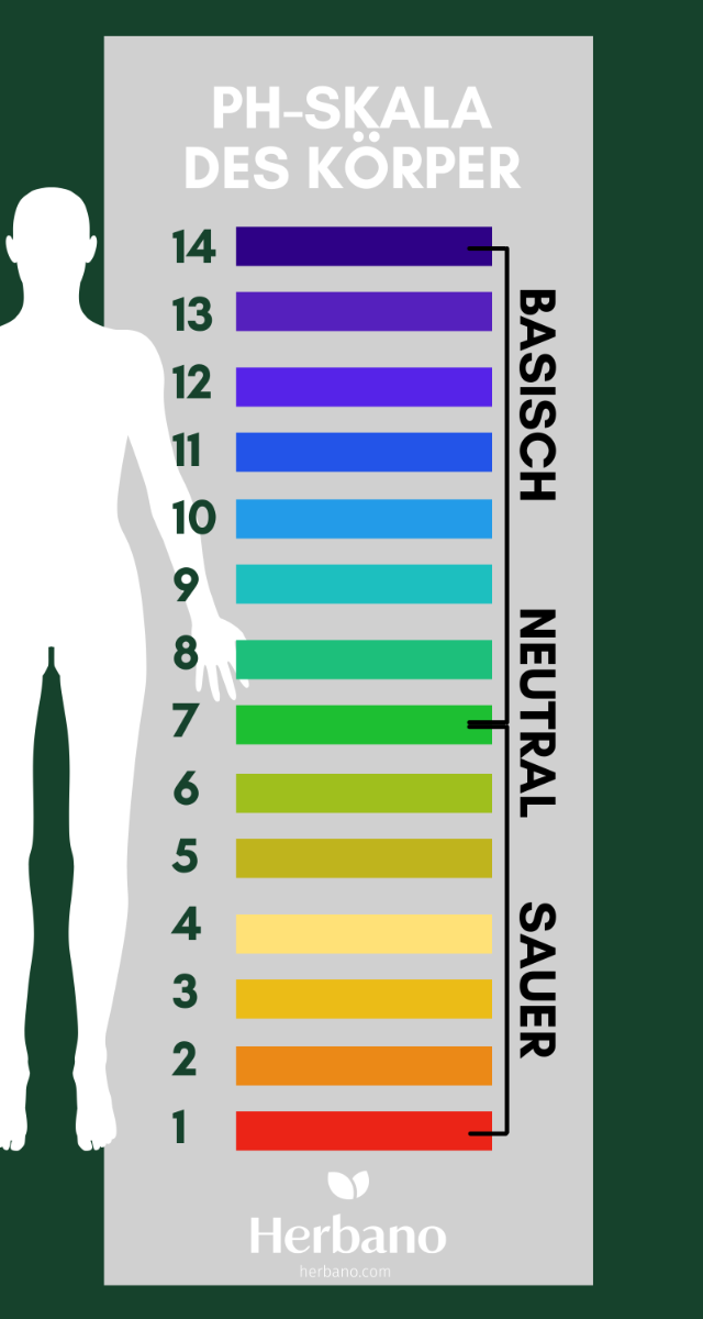 Mit Basenpulver Säure-Basenhaushalt ausgleichen