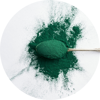 Bio Spirulina Alge