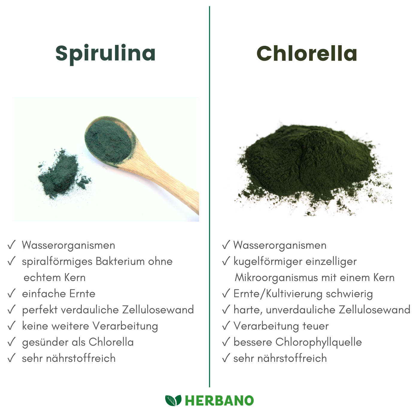 Spirulina vs Chlorella