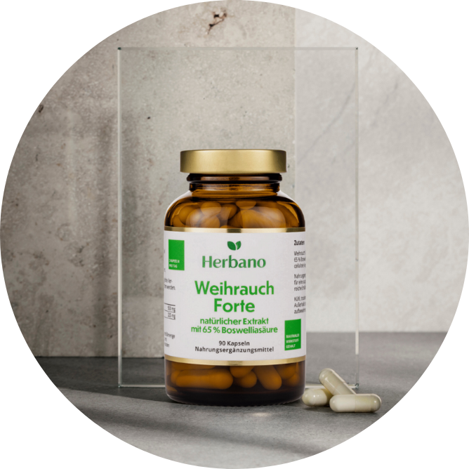 Weihrauch Kapseln aus Boswellia Serrata kaufen